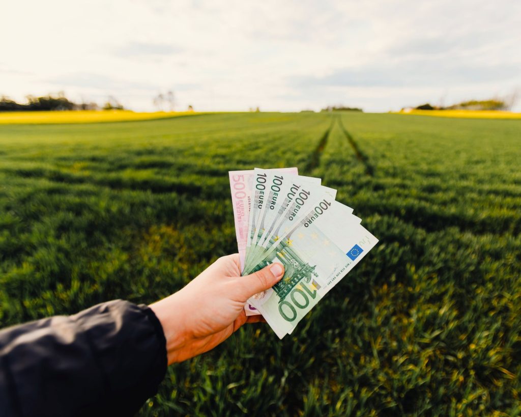 163: [Serie] Los 5 pilares de un negocio que te sostiene: 1º Dinero